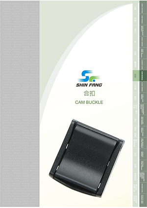 Cam Buckle
